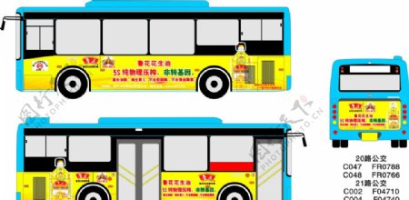 鲁花2011年最新卖点公交车广告图片
