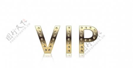 vip字体设计图片