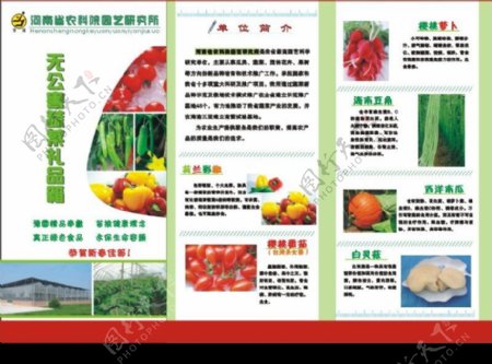 精品蔬菜三折页图片