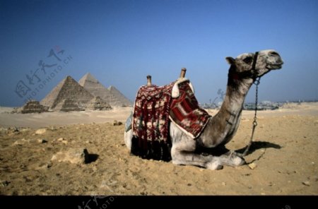 埃及之旅0067