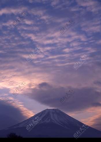 樱花与富士山0133