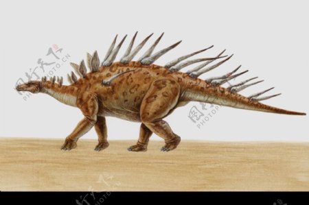 白垩纪恐龙0059