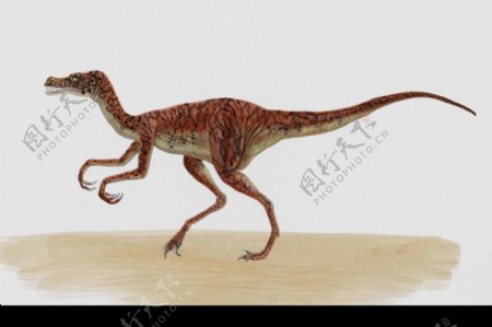 白垩纪恐龙0075