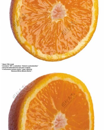 橙子特写0031