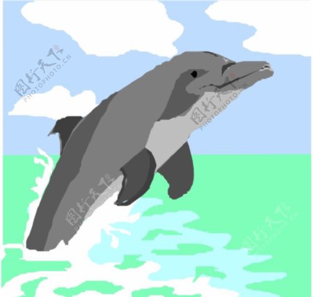 海洋动物1469