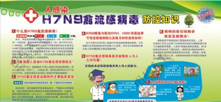 两医H7N9型禽流感防控知识