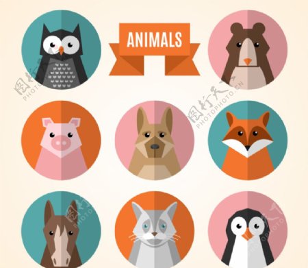 8款动物头像设计矢量