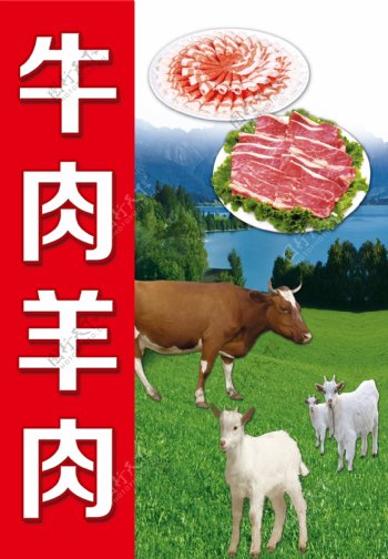 牛肉羊肉海报