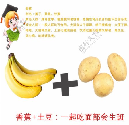 香蕉食物图