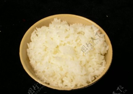 米饭炖品汤羹.jpg