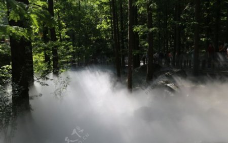 水雾