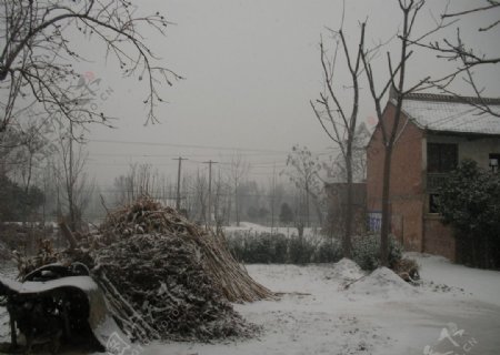 大雪过后的农村风景