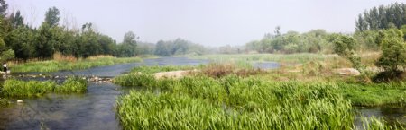 淇河湿地景观