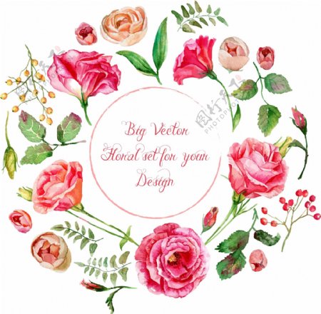 素材小清新月季玫瑰花矢量图