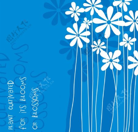 蓝色矢量花纹花朵背景底纹