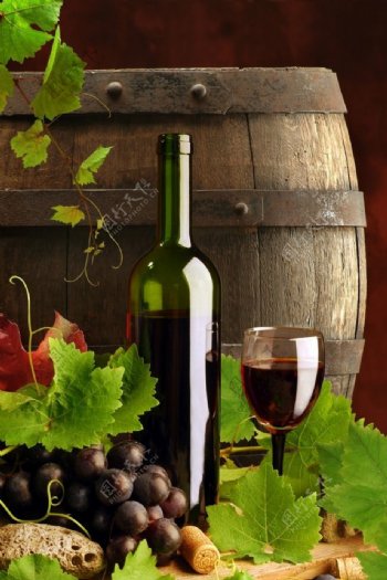 橡木桶红酒和葡萄