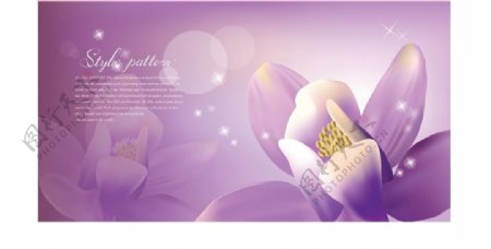 紫色浪漫花朵背景底纹