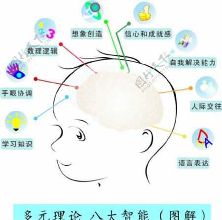 儿童大脑多元理论八大智能