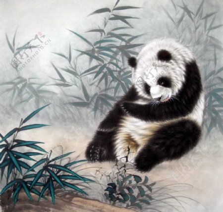 竹丛熊猫图