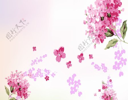 韩国花纹花卉移门花朵