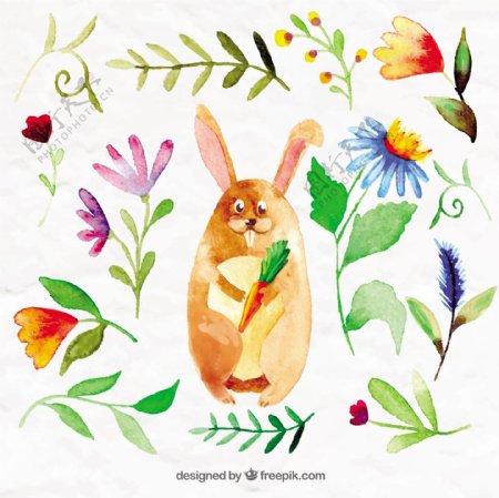 水彩兔子花和叶