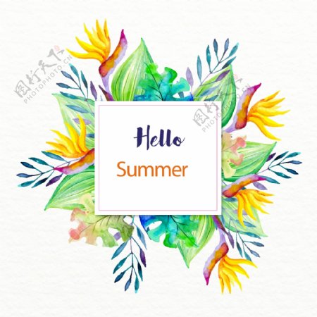 手绘水彩夏日棕榈叶花卉框架
