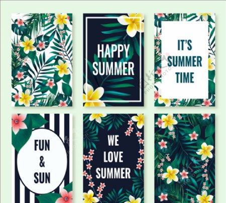六款夏季热带植物卡片