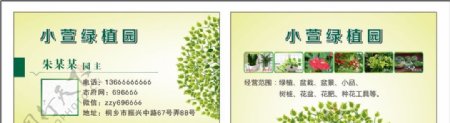 植物盆景名片