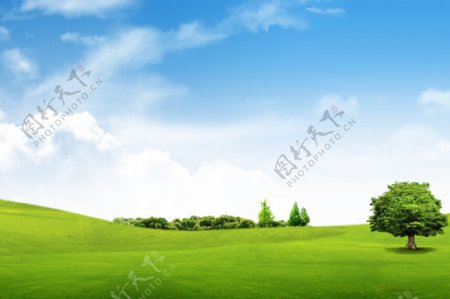 蓝天草地绿树白云远景