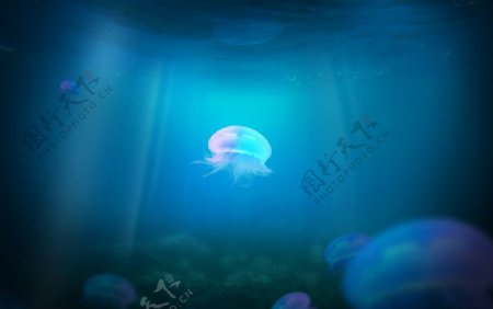 蔚蓝海底的水母