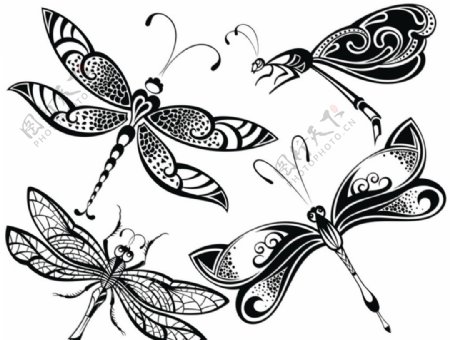 黑白剪影矢量素材图案蜻蜓