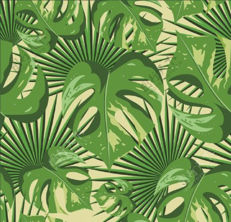 热带雨林植物叶子