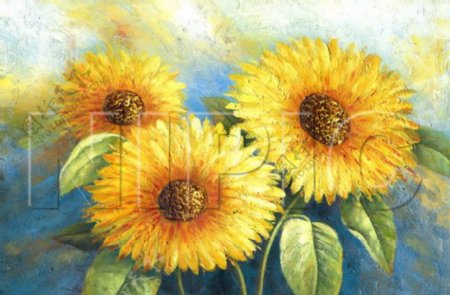 花卉油画11650厘米X70厘米