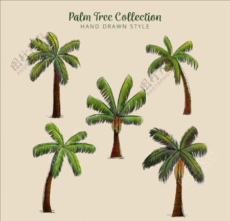 五款手绘水彩棕榈树