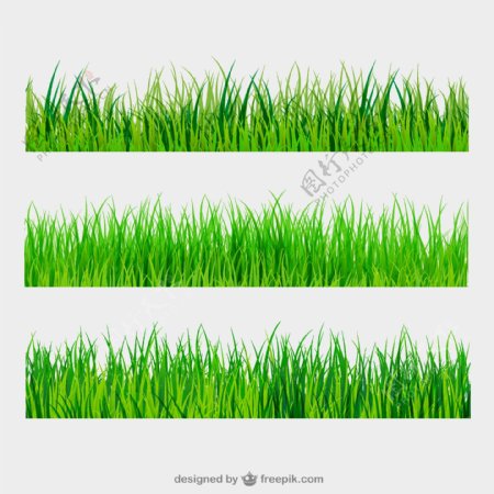 草地草坪绿色绿叶树