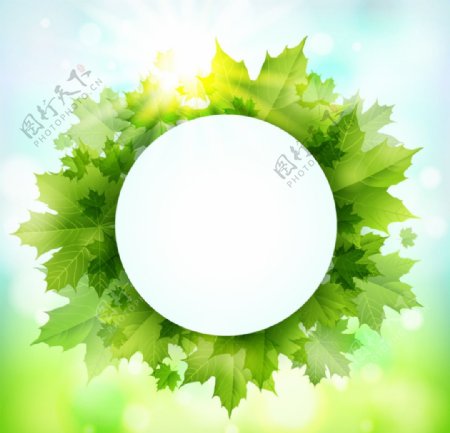 绿色枫叶装饰圆形标签背景