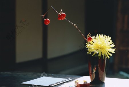 书桌上的鲜花与野果