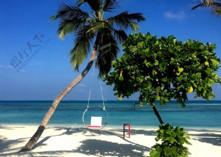 椰树海滩休闲度假