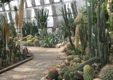植物园温室