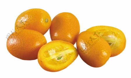 金桔小橘子