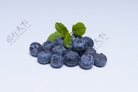 蓝莓蓝莓