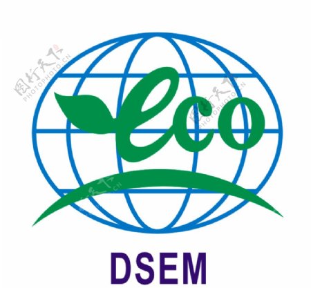 中国环保DSEM