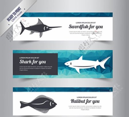 3款海洋鱼类banner矢量素
