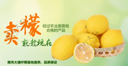 柠檬促销海报