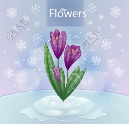 手绘水彩春季花卉插图