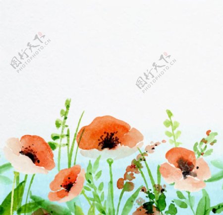 手绘水彩春季花卉插图