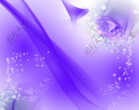 紫色花朵背景素材