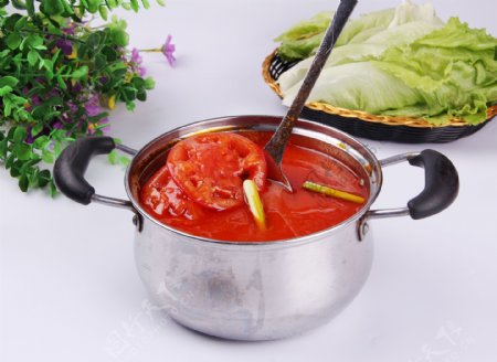 养生番茄小火锅
