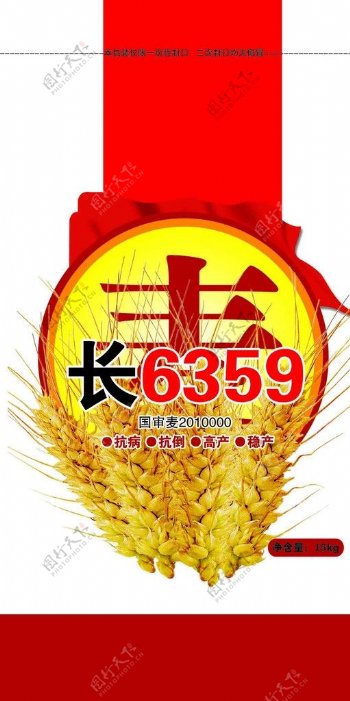 小麦长6359