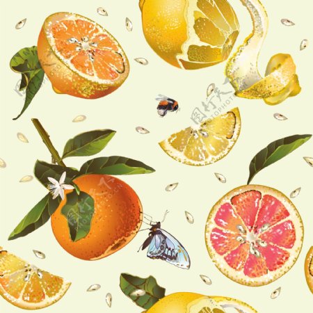 水彩橙子柠檬蜂蜜矢量背景素材